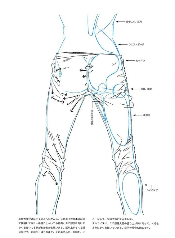 564x764 Pin By Nisanur Hapil On Sketch All Drawings, Anatomy