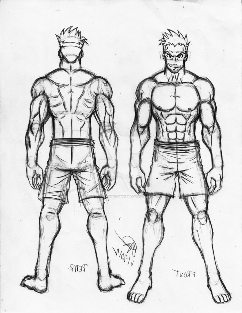 Human Male Body Drawing : Fox Muscle Anatomy | Bodegawasuon