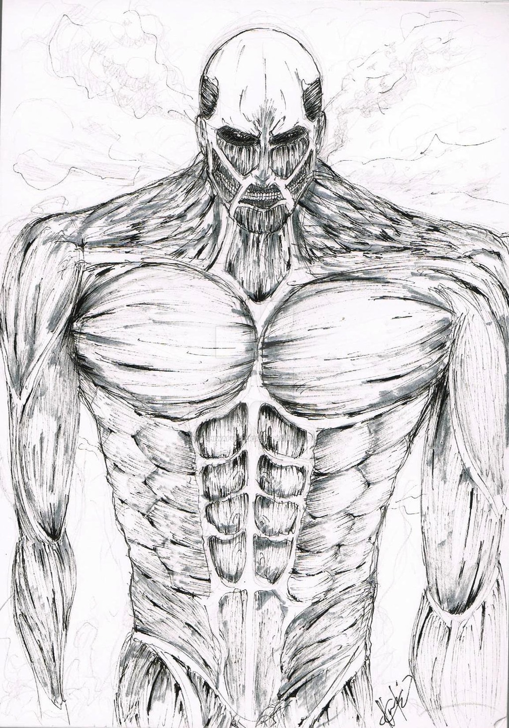 Human Muscles Drawing at GetDrawings | Free download