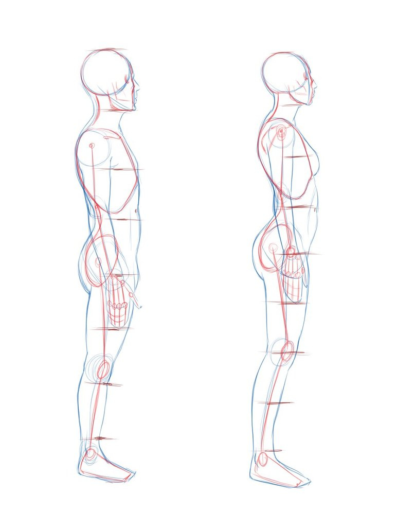 774x1032 Gallery How To Draw Side Profile Body Male,