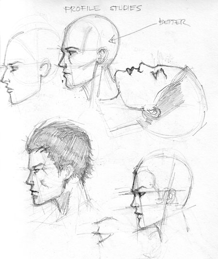 450x534 Profile Sketch Aftercall