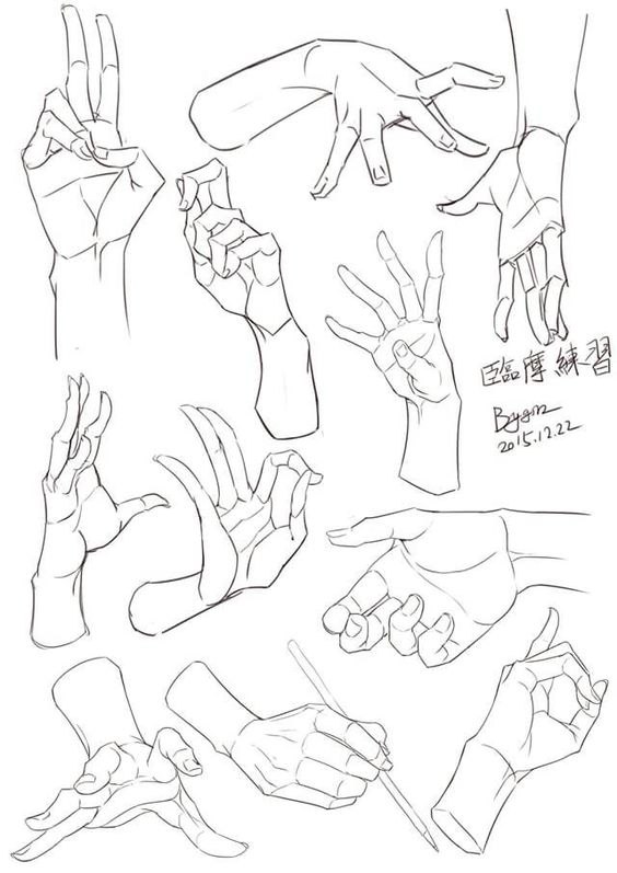564x797 Pin By Sidnei Luna On Hands Drawings, Anatomy
