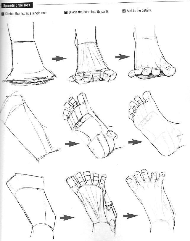 642x811 Drawing Illustration Human Anatomy Art Reference Drawing Tutorial