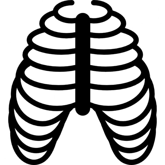 626x626 Human Ribs Bones Icons Free Download
