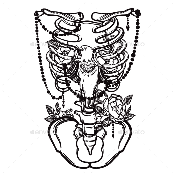 590x590 Skeleton Ribs, Bird And Flowers Vintage Vector By Vavavka