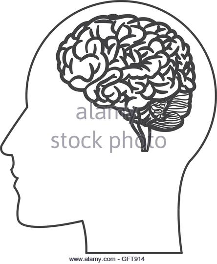444x540 Human Brain Within Head Silhouette Stock Photos Amp Human Brain