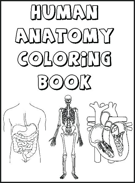 440x594 Skeletal System Coloring Book Genesisar.co