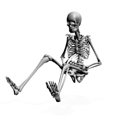 400x408 Human Skeleton Fifteen Isolated Stock Photo By