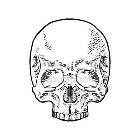 450x450 Human Skeleton Running Vector Illustration Sketch Hand Drawn