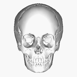 320x320 Filehuman Skull