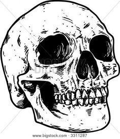 236x273 Human Skull Drawing Explore New Start Downloading