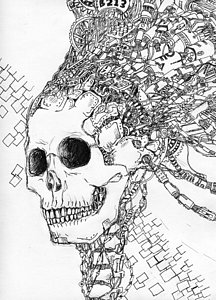 216x300 Human Skull Drawings