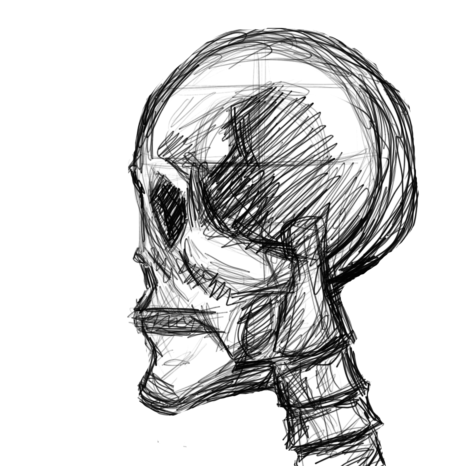 1600x1600 Human Skull Side View By E40godumdum0
