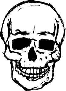 218x300 8 Skull Drawing Vector (Svg, Png Transparent)