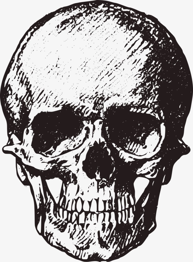 650x881 Sketch Skull, Sketch, Human Skeleton, Skull Png Image For Free