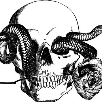 354x354 Human Skull Snake Tattoo Art Rose Png From Digitalgraphicsshop