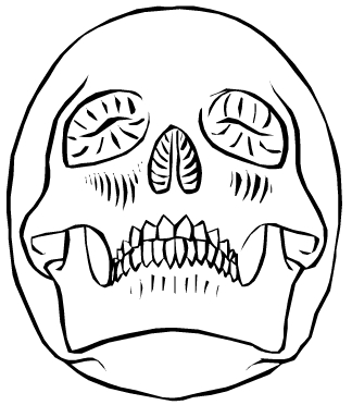 324x372 How To Draw A Skull 50 Tutorials Drawn In Black