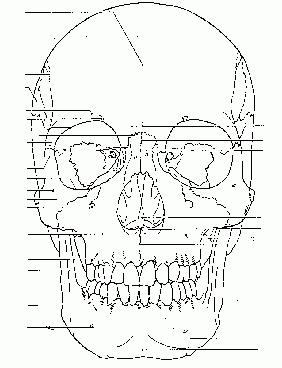920x1200 Day Of The Skeleton Coloring Page Free Printable Body And Skull
