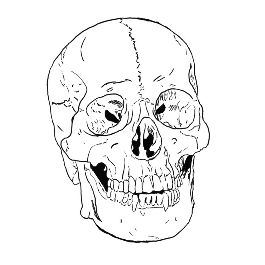 894x894 Free Printable Skull Coloring Pages For Kids