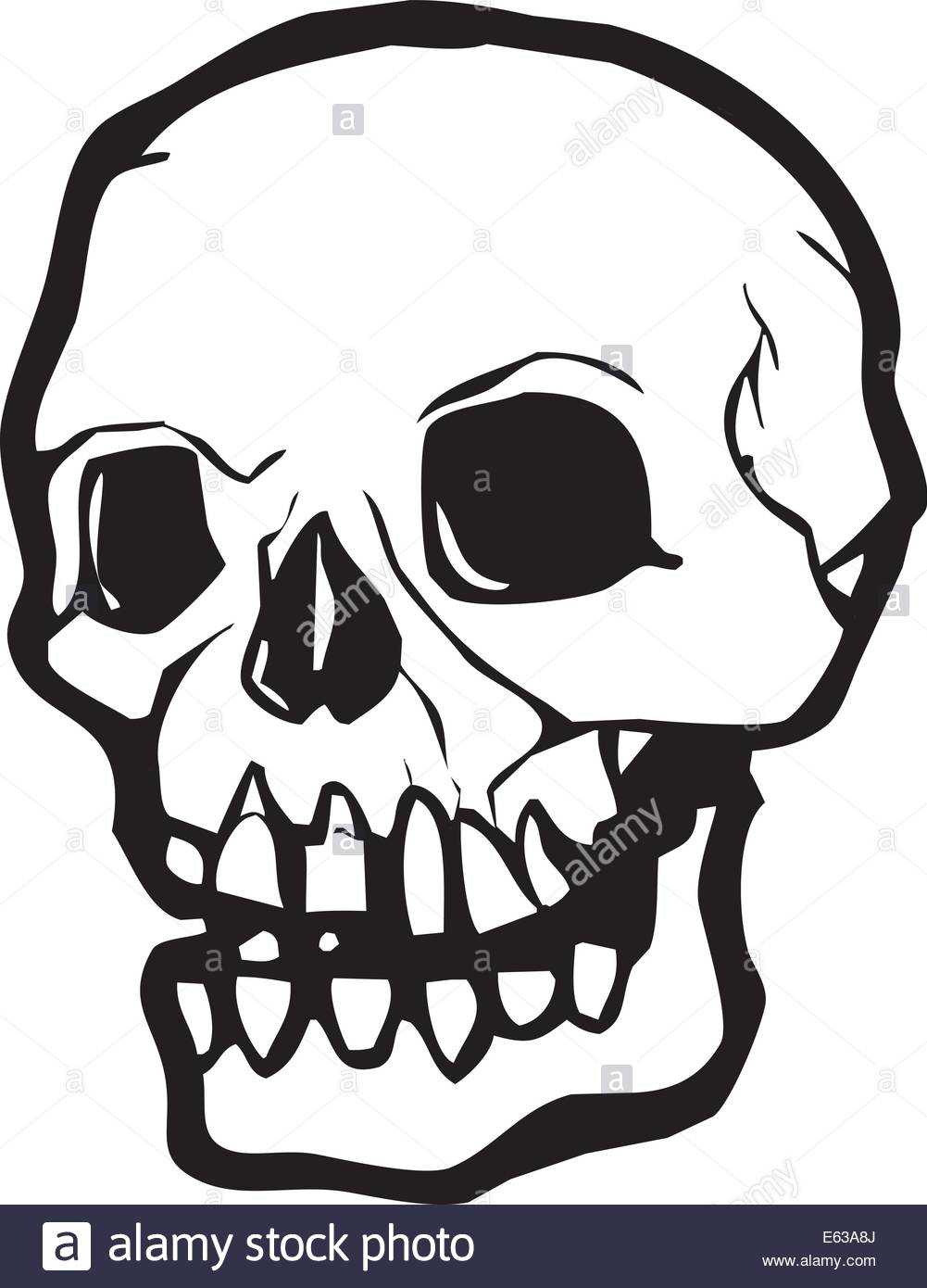 1001x1390 Human Skull In Simple Vector Style In Black And White Stock Vector