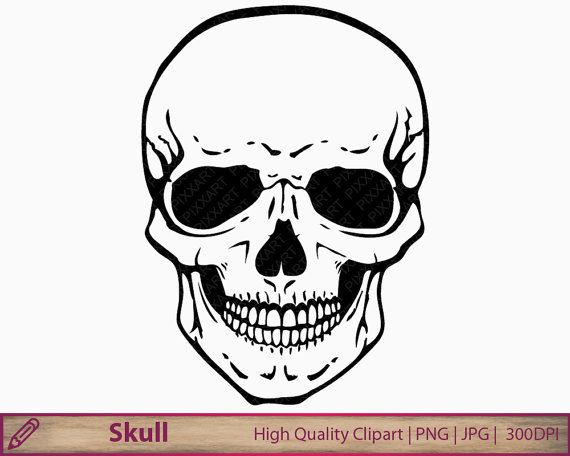 570x456 Skull Clipart Human Skull Clip Art Horror Halloween