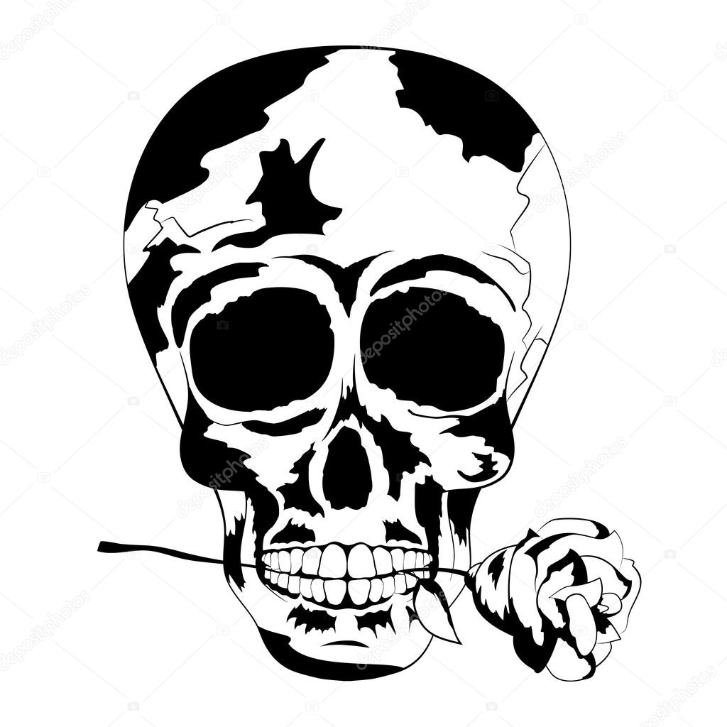 1024x1024 Black And White Human Skull With Rose In The Mouth. Tattoo Skull