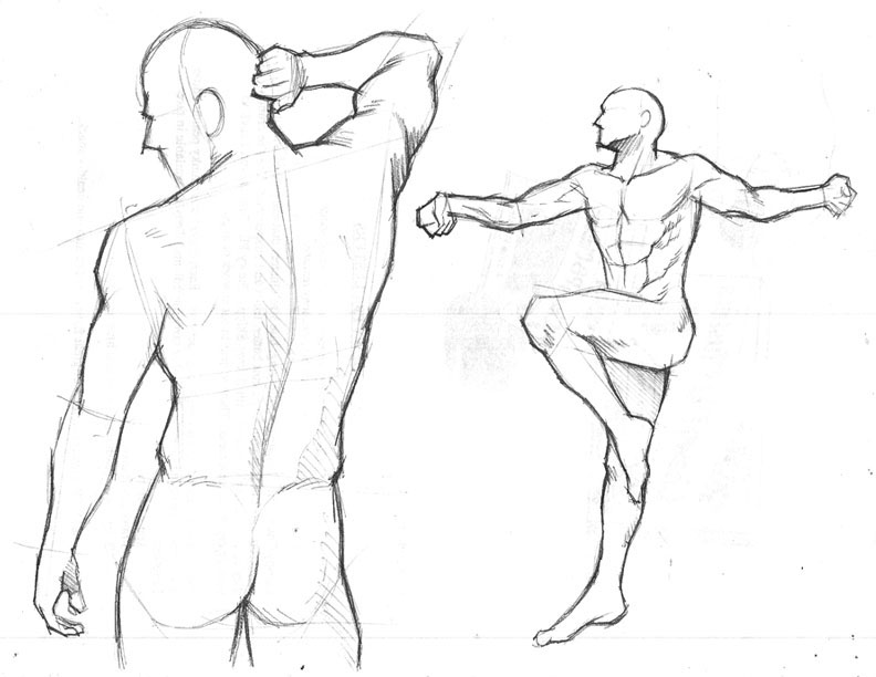 792x612 Studying The Human Figure On Behance