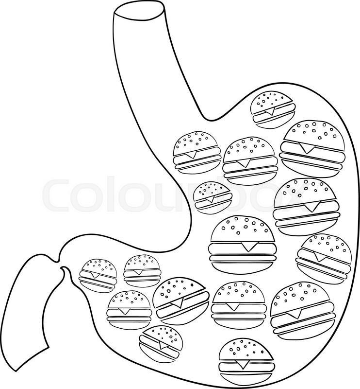 742x800 Human Stomach With Hamburger. Vector Illustration Stock Vector