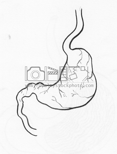 411x540 Royalty Free Stock Photos Abstract Art Paintings