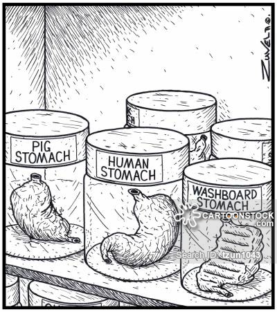 400x451 Washboard Stomach Cartoons And Comics