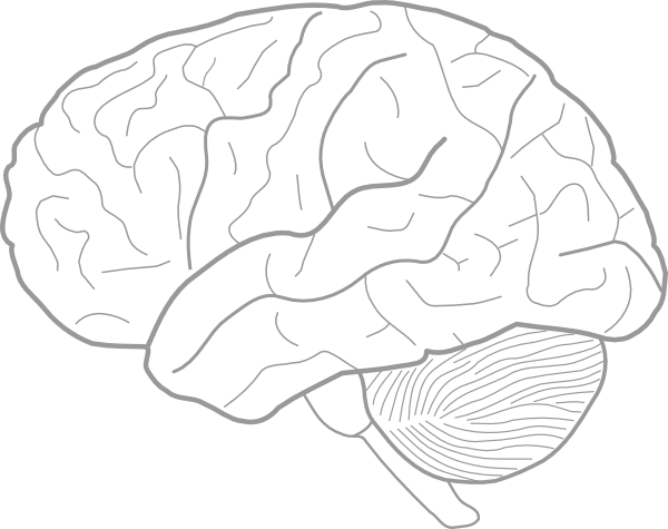 600x475 Brain Drawing Template Brain Drawing Te