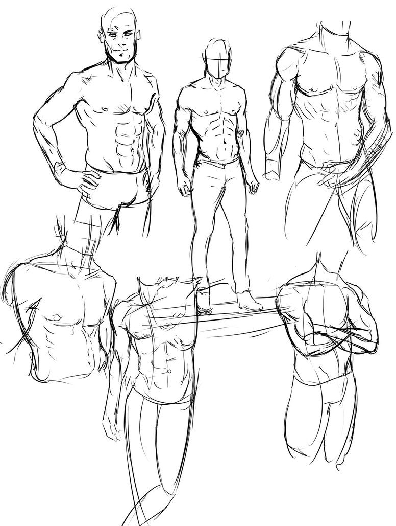 776x1029 Anatomy Torso Sketch Dumps By Vimes Da
