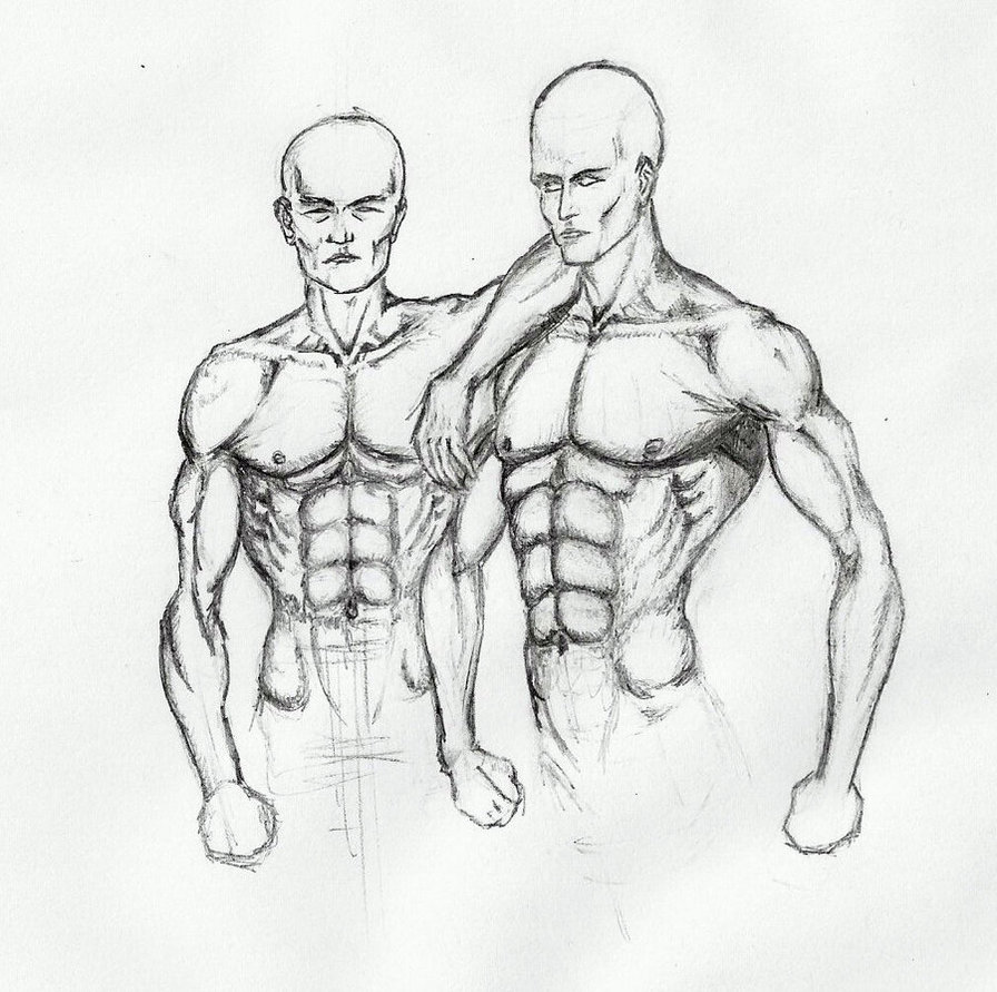 896x891 Human Torso 2 By Dvicko