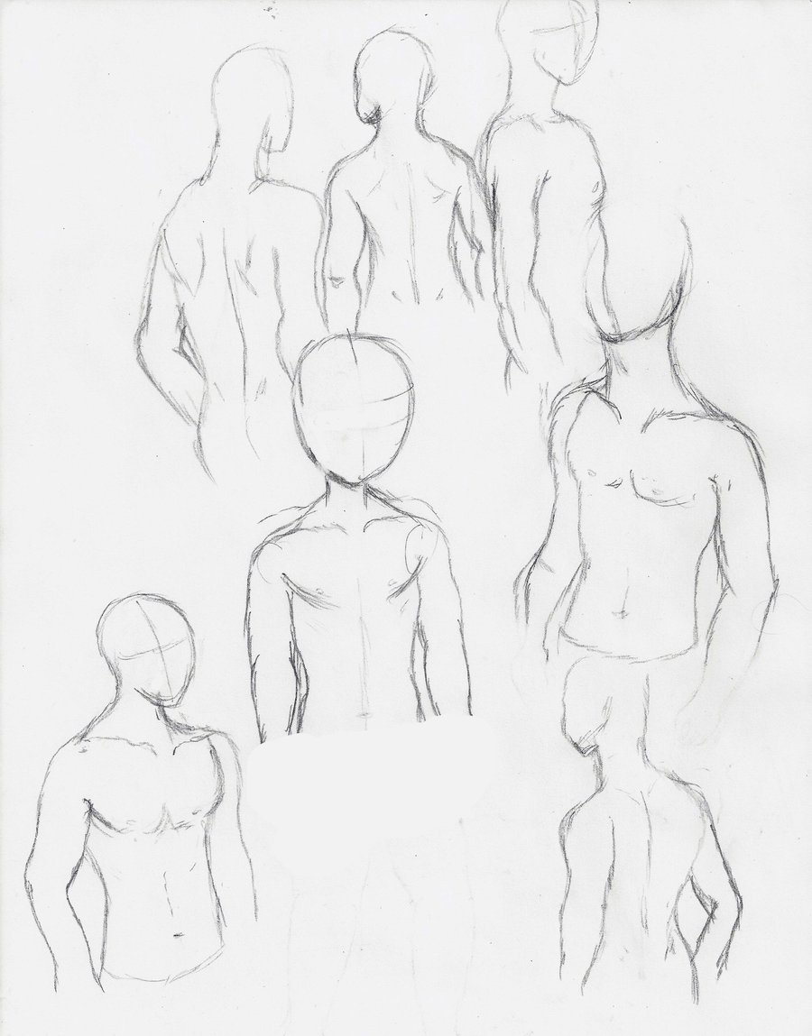 900x1149 Man's Torso And Back By Logan2911