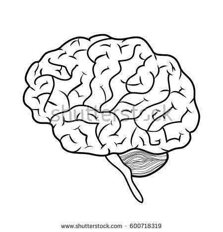 450x470 Drawn Brains Human Body