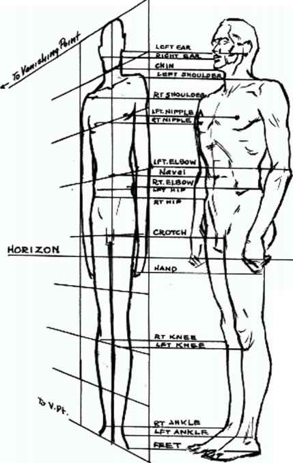 429x677 Flat Diagram