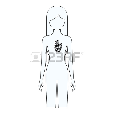 450x450 Hand Drawing Contour Heart System Human Body Vector Illustration