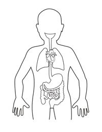 200x259 Human Body Coloring Page