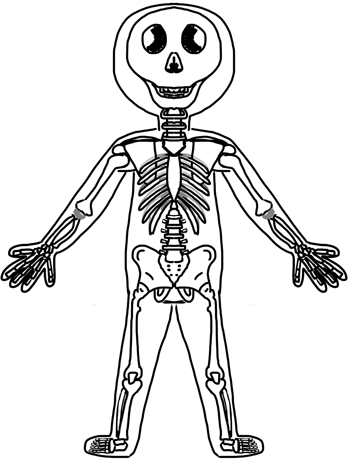 1200x1600 Bones Clipart Human Body