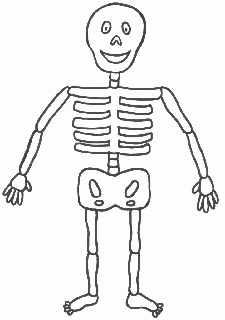 721x1024 Organs Clipart Skeleton Body