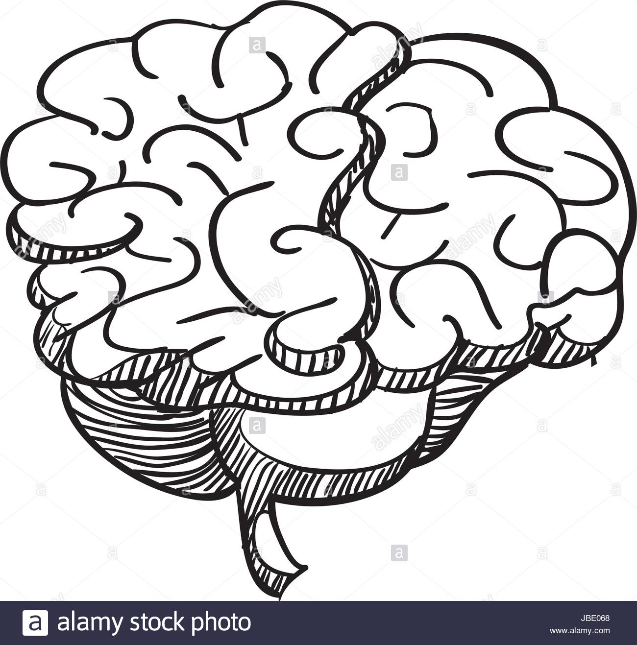 1300x1317 Human Brain Draw Stock Vector Art Amp Illustration, Vector Image