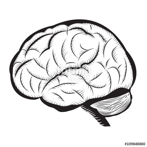 500x500 Black And White Brain Illustration Human Brain Outline Draw
