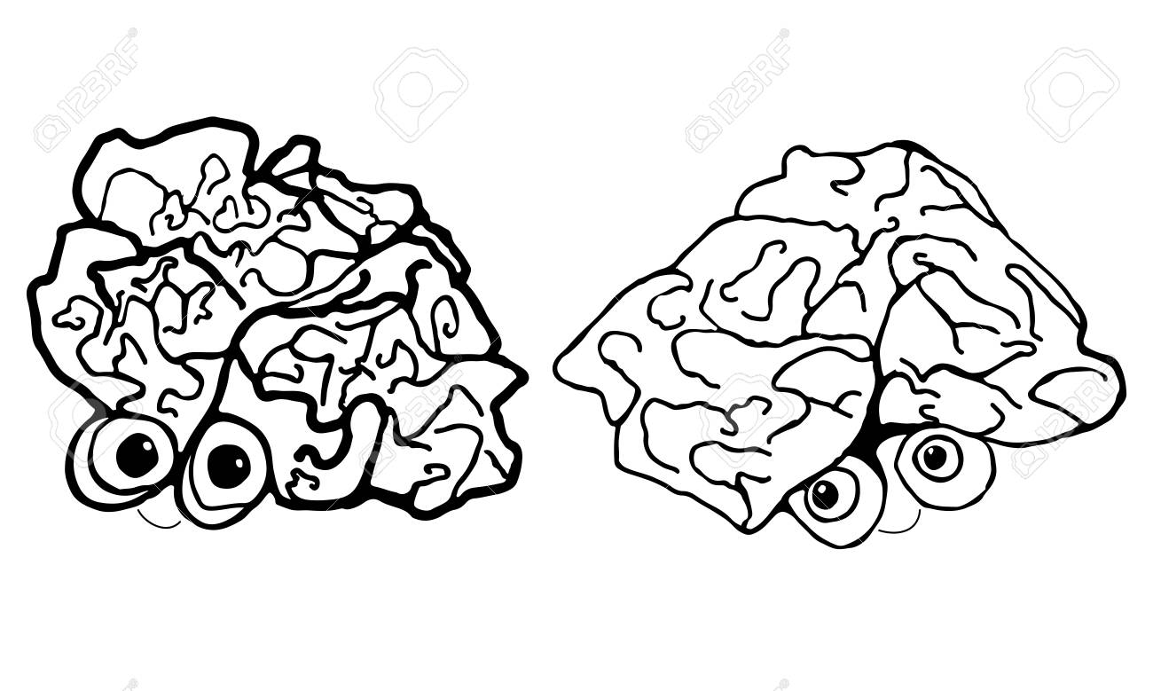 1300x779 Two Funny, Cartoon, Human Brain, Isolated On White Background