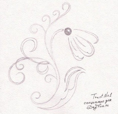 470x454 15 Best Drawing Flowers Images On Botanical