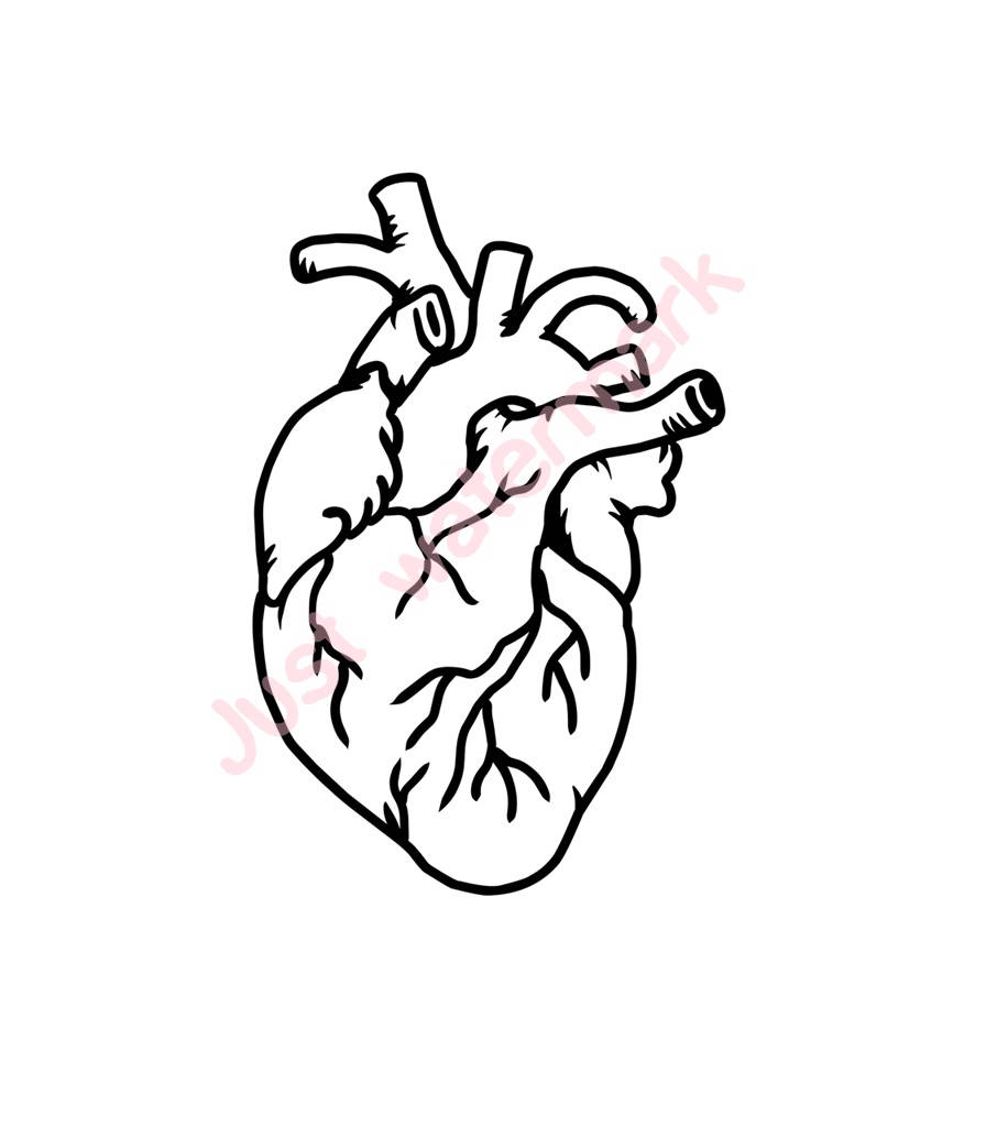 896x1024 Pin By Sundayneek On Like Them Human Heart, Hand