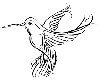 Humming Bird Drawing at GetDrawings | Free download