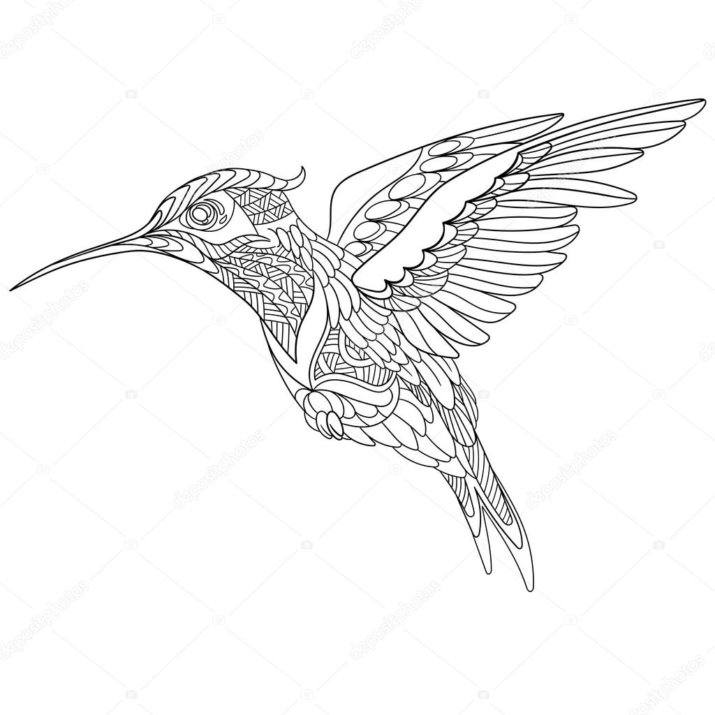 1024x1024 Zentangle Stylized Hummingbird Stock Vector Sybirko