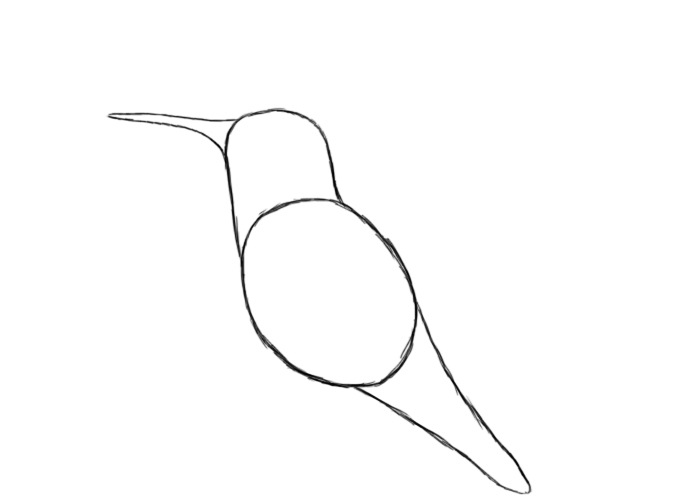 700x503 How To Draw A Hummingbird
