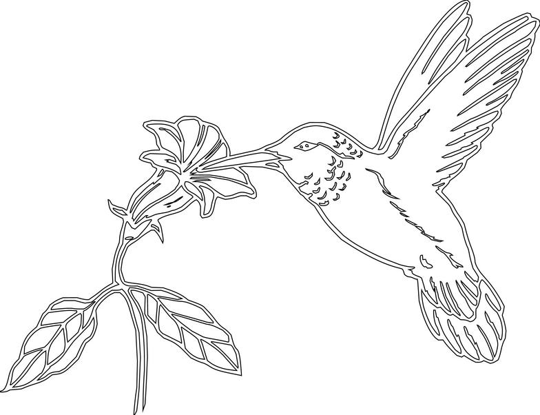 784x602 Hummingbird Clipart Black And White
