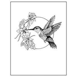 267x267 Hummingbird Drawings Clip Art